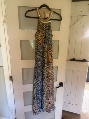 Beaded Maxi Dress in Multi-Color Animal Print HD in Paris Anthropologie Size 0